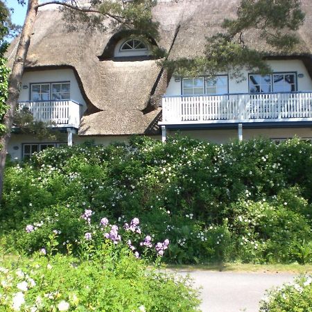 Achtern - Diek - Am Strand Zingst Eksteriør billede