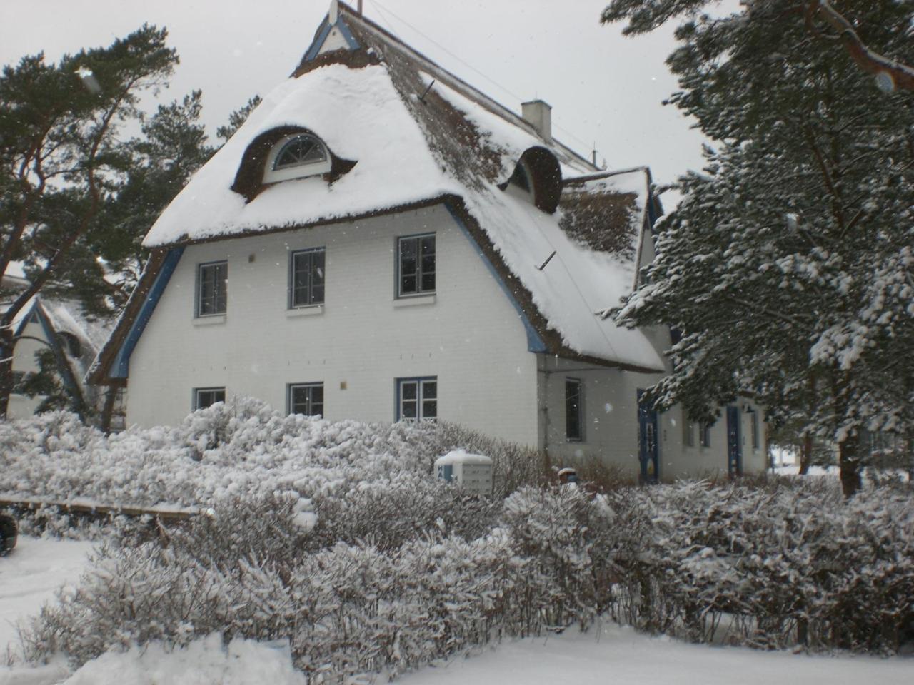 Achtern - Diek - Am Strand Zingst Eksteriør billede