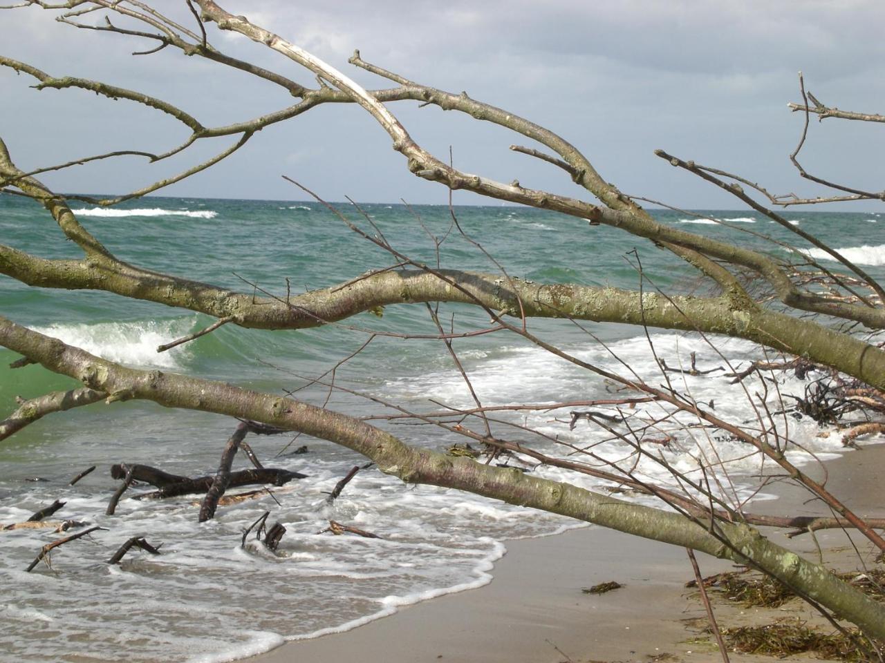 Achtern - Diek - Am Strand Zingst Eksteriør billede