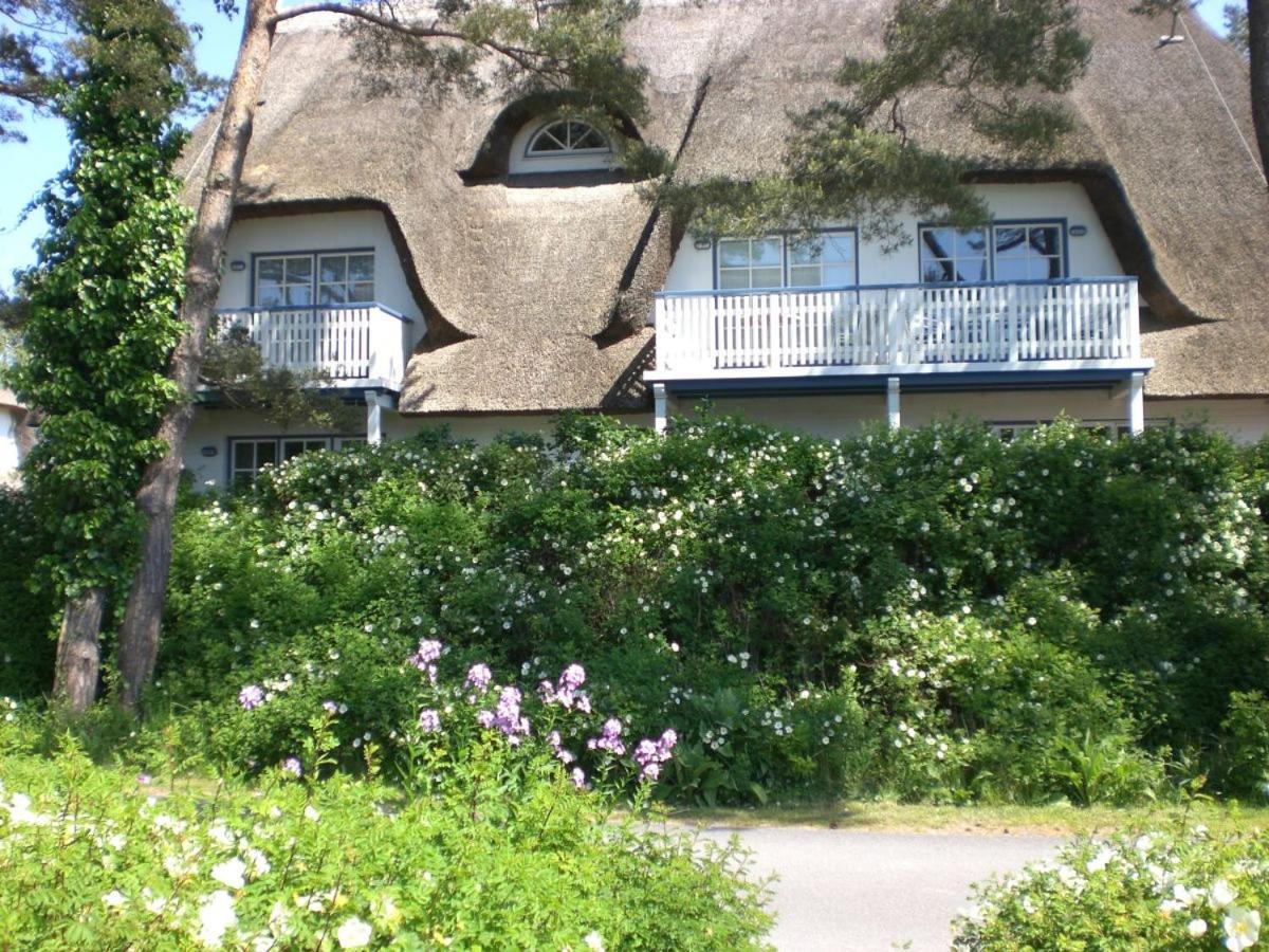 Achtern - Diek - Am Strand Zingst Eksteriør billede