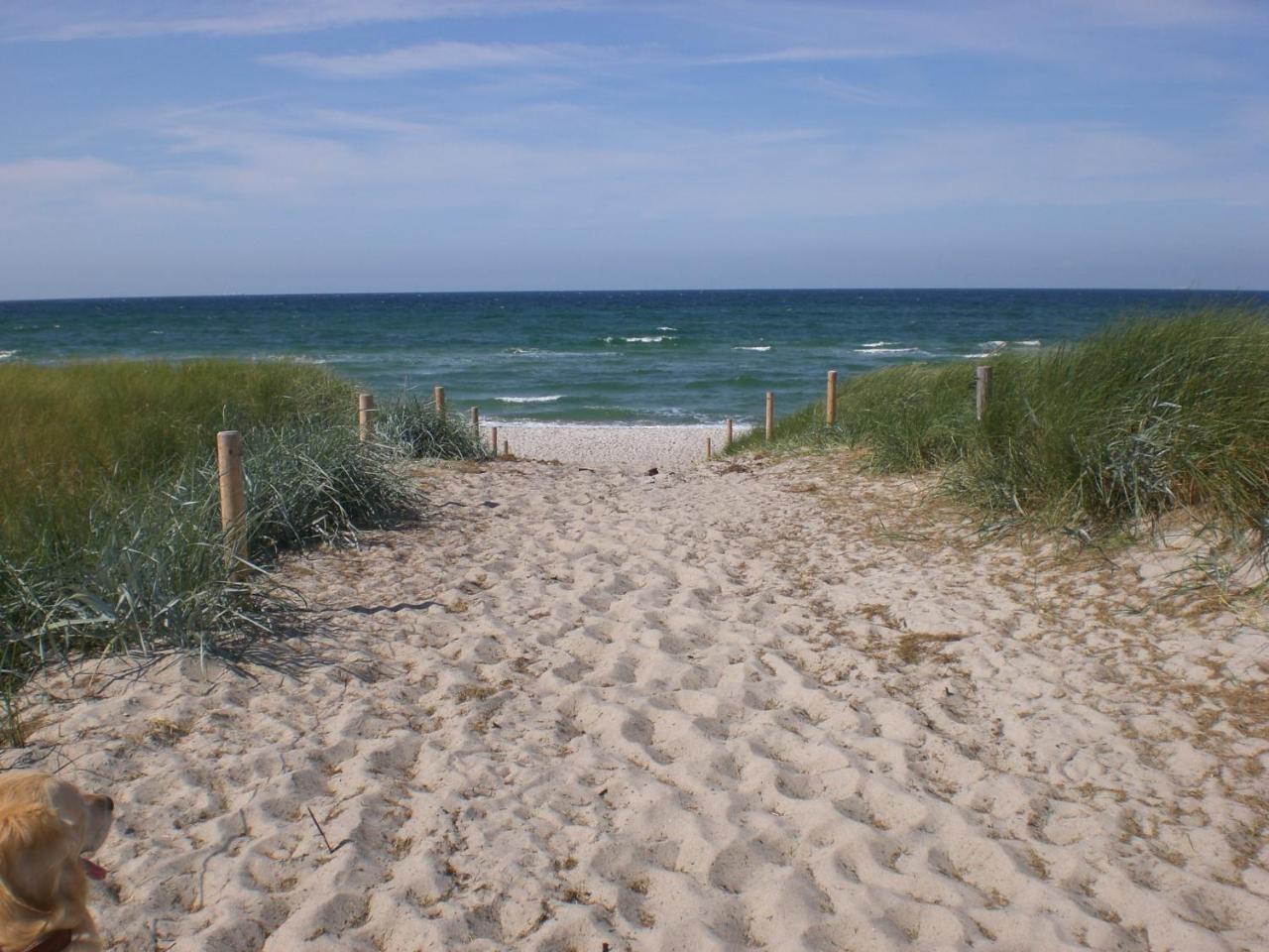 Achtern - Diek - Am Strand Zingst Eksteriør billede